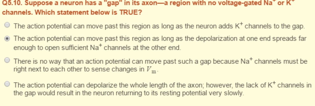 Question: Suppose a neuron has a "gap" in its axon-a region with no voltage-gated Na^or K^channels. Which s...