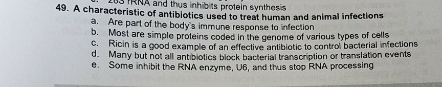 What are some advantages of antibiotics over phages in the treatment of infections in humans? picture