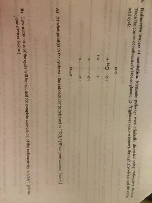 Question: Metabolic pathways were originally dissected using radioactive tracers Trace the course of radioa...