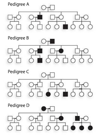 identify hereditary transmission each autosomal recessive dominant pedigree