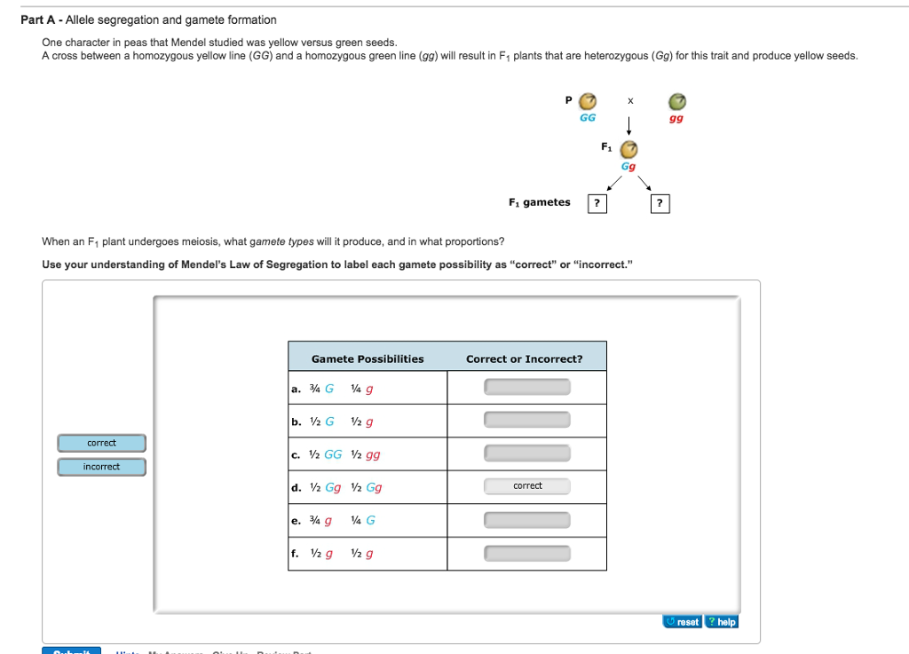 Gamete Formation In The F1 Of Polygenic Crosses