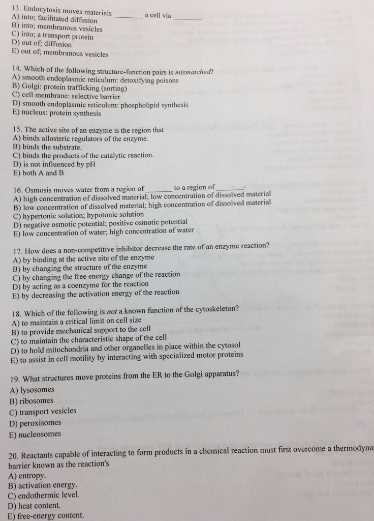 Solved Endocytosis moves materials a cell via. into; | Chegg.com