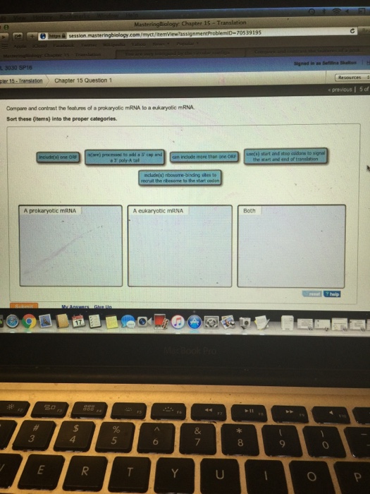 Question: Compare and contrast the featurens of a prokaryotic mRNA to a oulcaryyotic mRNA Sort these (items...