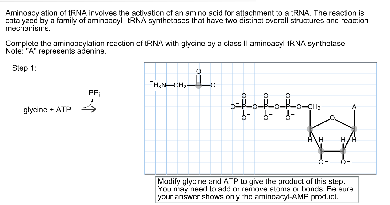 Question: Aminoacylation of tRNA involvesthe activation of an amino acid for attachment to a tRNA. Therea...