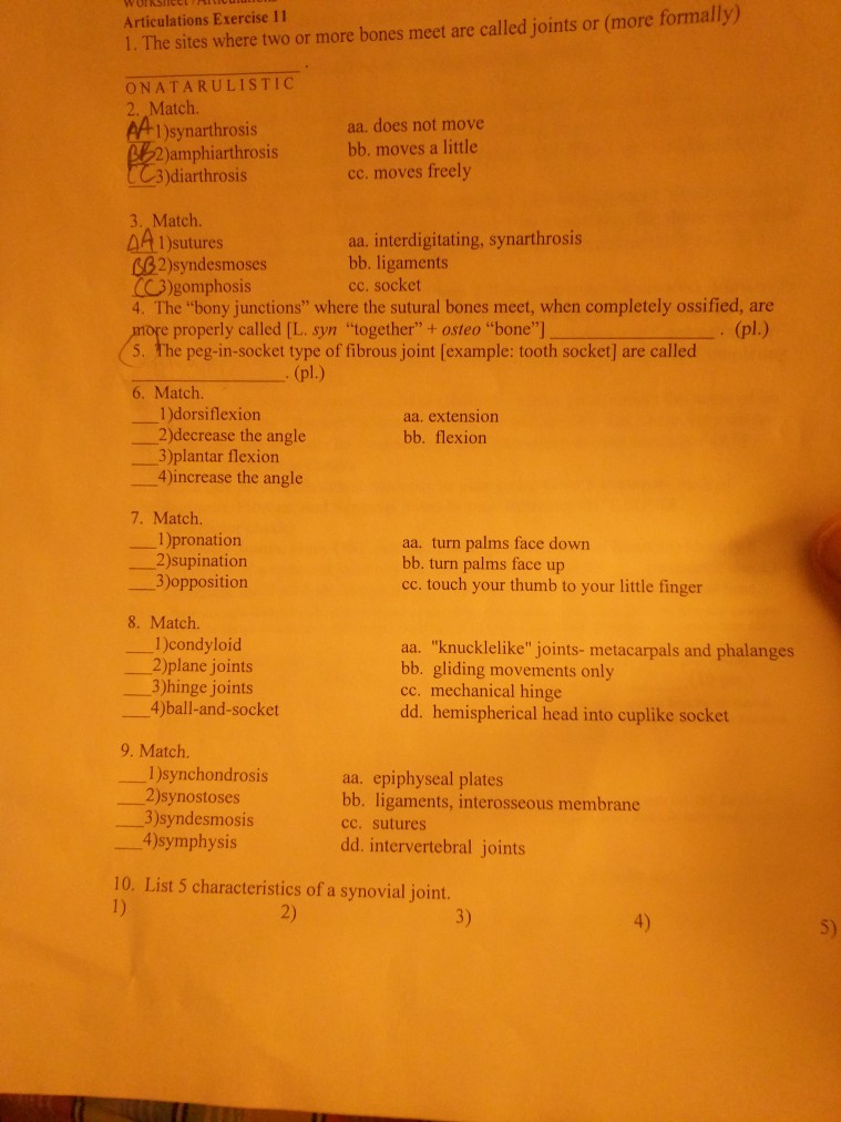 Question: Articulations Exercise 11 1·The sites where two or more bones meet are called joints or (more fo...