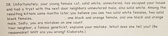 Question: Unfortunately, your young female cat, solid white, unneutered, has escaped your house and had a t...