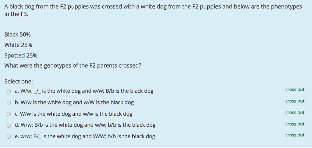 Which physical characteristic of louisiana gave european’s access to the interior of north america? image