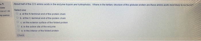 Question: About half of the 223 amino acids in the enzyme trypsin are hydrophobic. Where in the tertiary st...