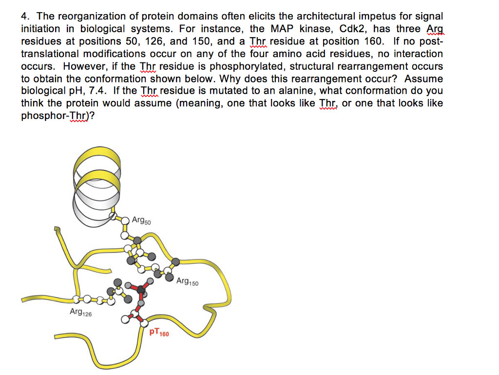 Question: The reorganization of protein domains often elicits the architectural impetus for signal initiati...