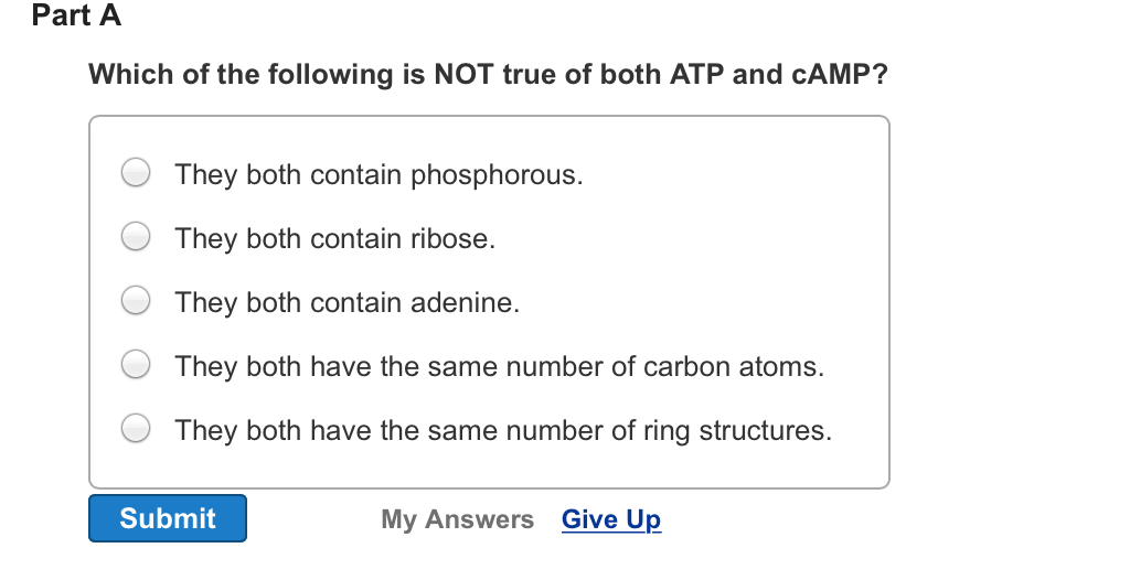 8 03 assignment eco friendly business plan picture