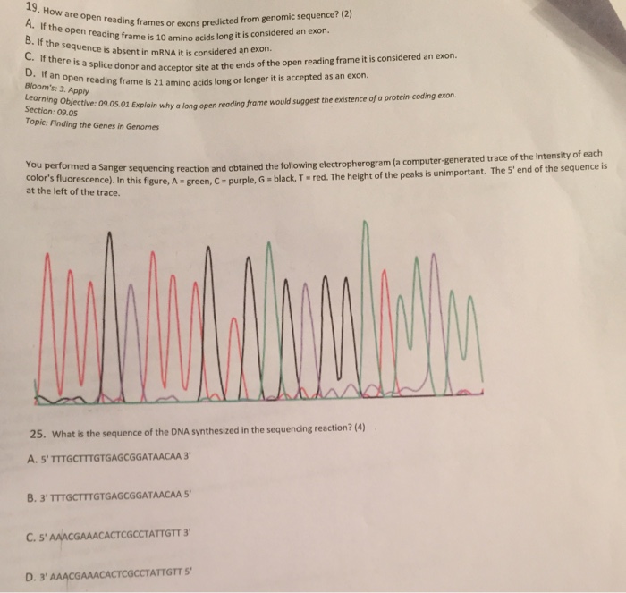 Question: How are open reading frames or exons predicted from genomic sequence? A. If the open reading fram...