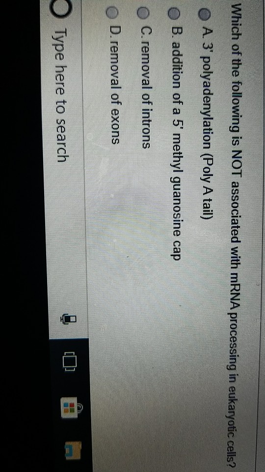 Question: Which of the following is NOT associated with mRNA processing in eukaryotic cells? O A 3 polyaden...