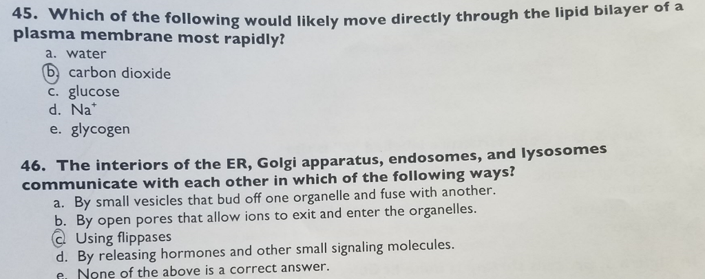 None provided3 essay 06 image