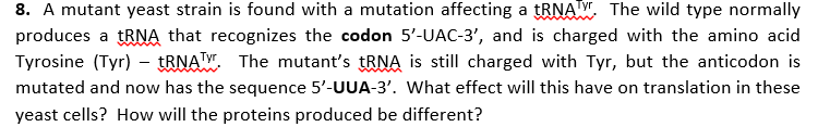 Question: A mutant yeast strain is found with a mutation affecting a tRNA^Tyr. The wild type normally produ...