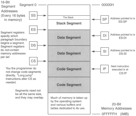 16-Bit Segment Segment 0 Addresses (Every 16 bytes SS 00000H The Stack in memory) SP Address pointed to is SS:SP Stack Segment ES Segment registers specify which DI Address pointed to is Data Segment ES:DI begins a segment. Segment registers DS SI Address pointed to is do not contain memory addresses per se Data Segment CS Next instruction IP executed is at You the programmer do not change code segments directly. Long jump instructions alter CS as needed. Code Segment CS:IP Code Segment Segments need not be all the same size and they may overlap Much of memory is taken up by the operating system and various buffers and tables dedicated to its use. 20-Bit Memory Addresses OFFFFFH (IMB)