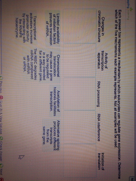 Question: Each answer box represents a mechanism by which eukaryotes can regulate gene expression. Determin...