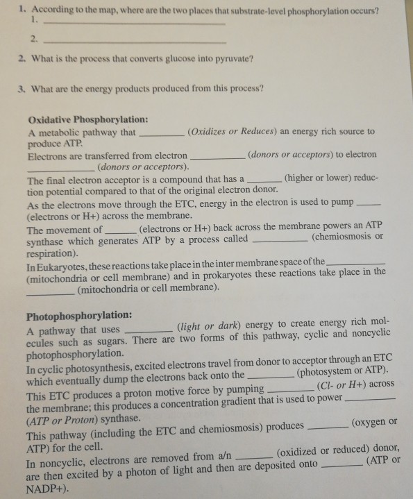 Question: PART 2: CONCEPT MAP-ATP PRODUCTION What is a concept map? A concept map is a visual schematic of ...