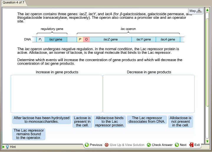 Question: The lac operon contains three genes: lacZ, lacY, and lacA (for beta-galactosidase, galactoside pe...