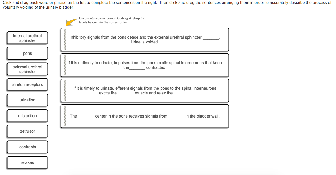 Question: Click and drag each word or phrase on the left tocomplete the sentences on the right. Then click...