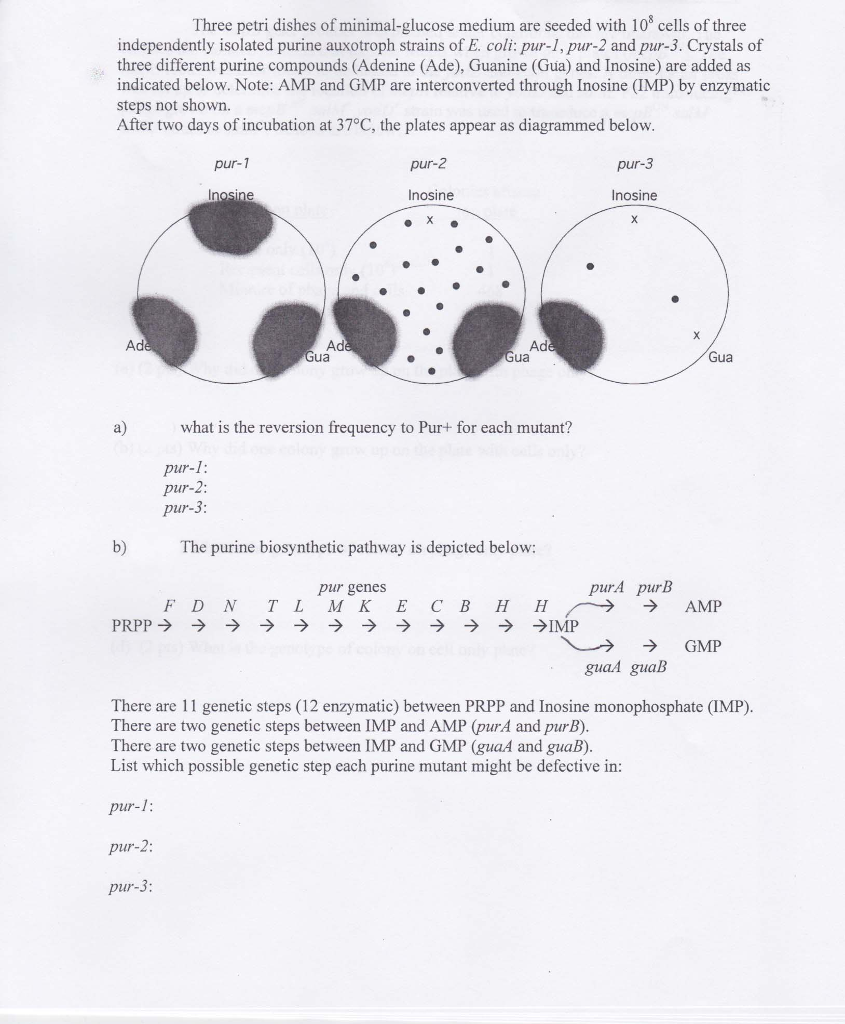 Question: I would like to make sure I am right if anyone can show me thereprocess of solving the reversion...