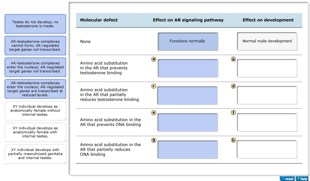 Question: Part D - Predicting the effects of different mutations on sexdevelopment You recognize that Athl...
