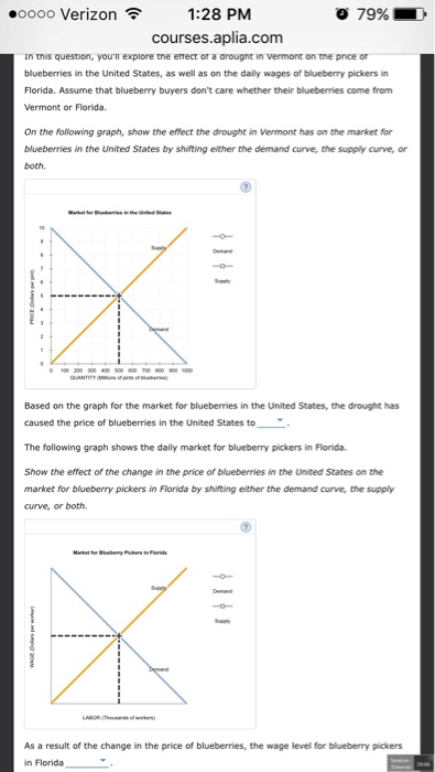 Uvm supplemental essay examples image