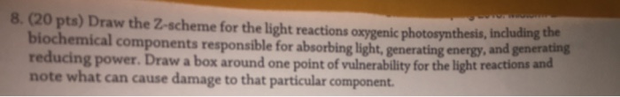 Question: Draw the Z-scheme for the light reactions oxygenic photosynthesis. including the biochemical comp...