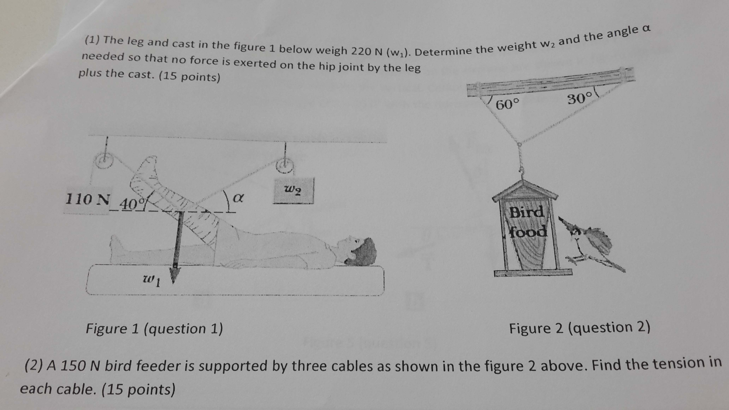 Solved The Leg And Cast In The Figure 1 Below Weigh 220 N...