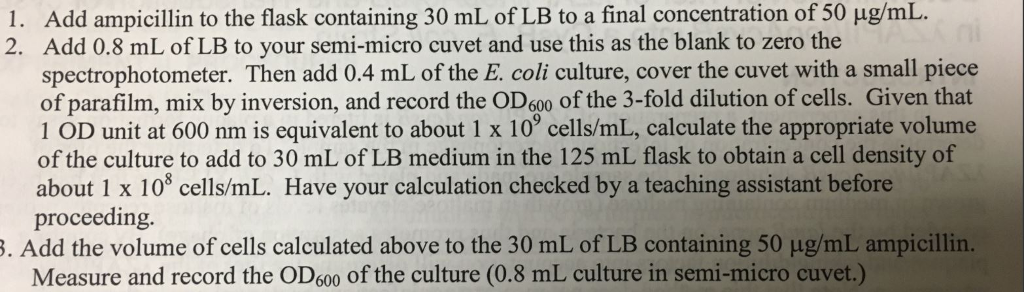 Question: 1. Add ampicillin to the flask containing 30 mL of LB to a final concentration of 50 μg/mL. 2. A...