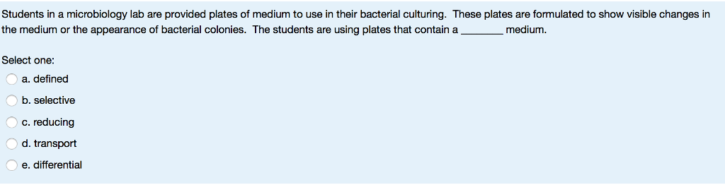 None provided1 essay 6 picture