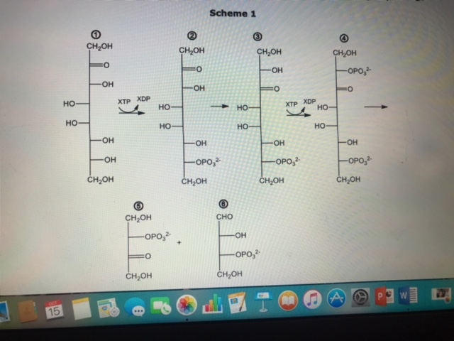 Question: 5. Suppose there is a glycolytic-like pathway carried out by an alien species that uses analogous...
