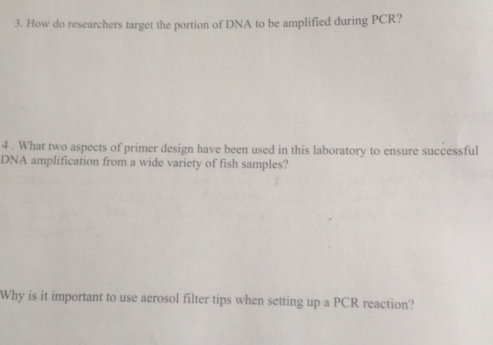 Question: How do researchers target the portion of DNA to be amplified during PC R ?  What two aspects of p...