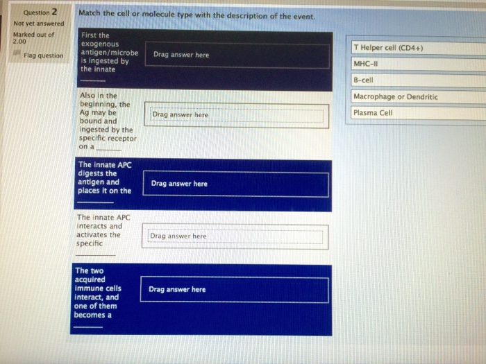 Question: Microbiology question. There is also a photo belowLeft column-1) First the exogenous antigen/m...