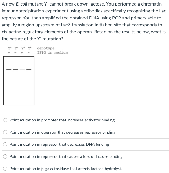 Chromatin immunoprecipitation protocol image