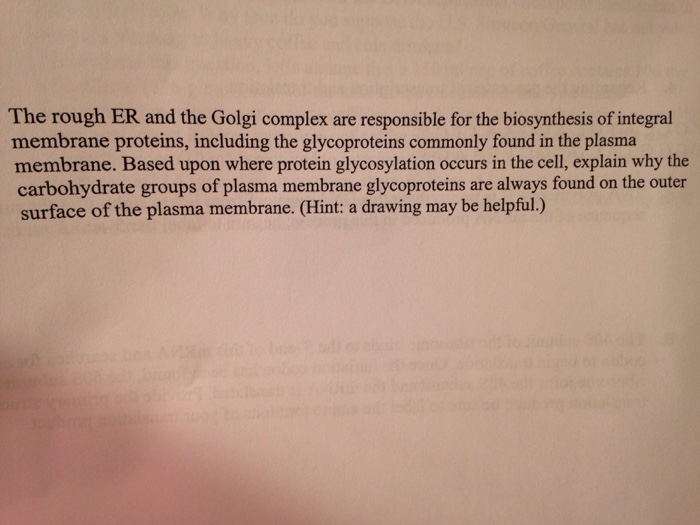 Question: The rough ER and the Golgi complex are responsible for the biosynthesis of integral membrane prot...