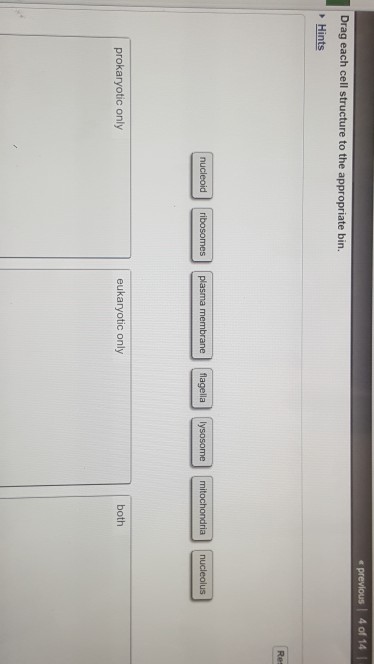 Question: Drag each cell structure to the appropriate bin.