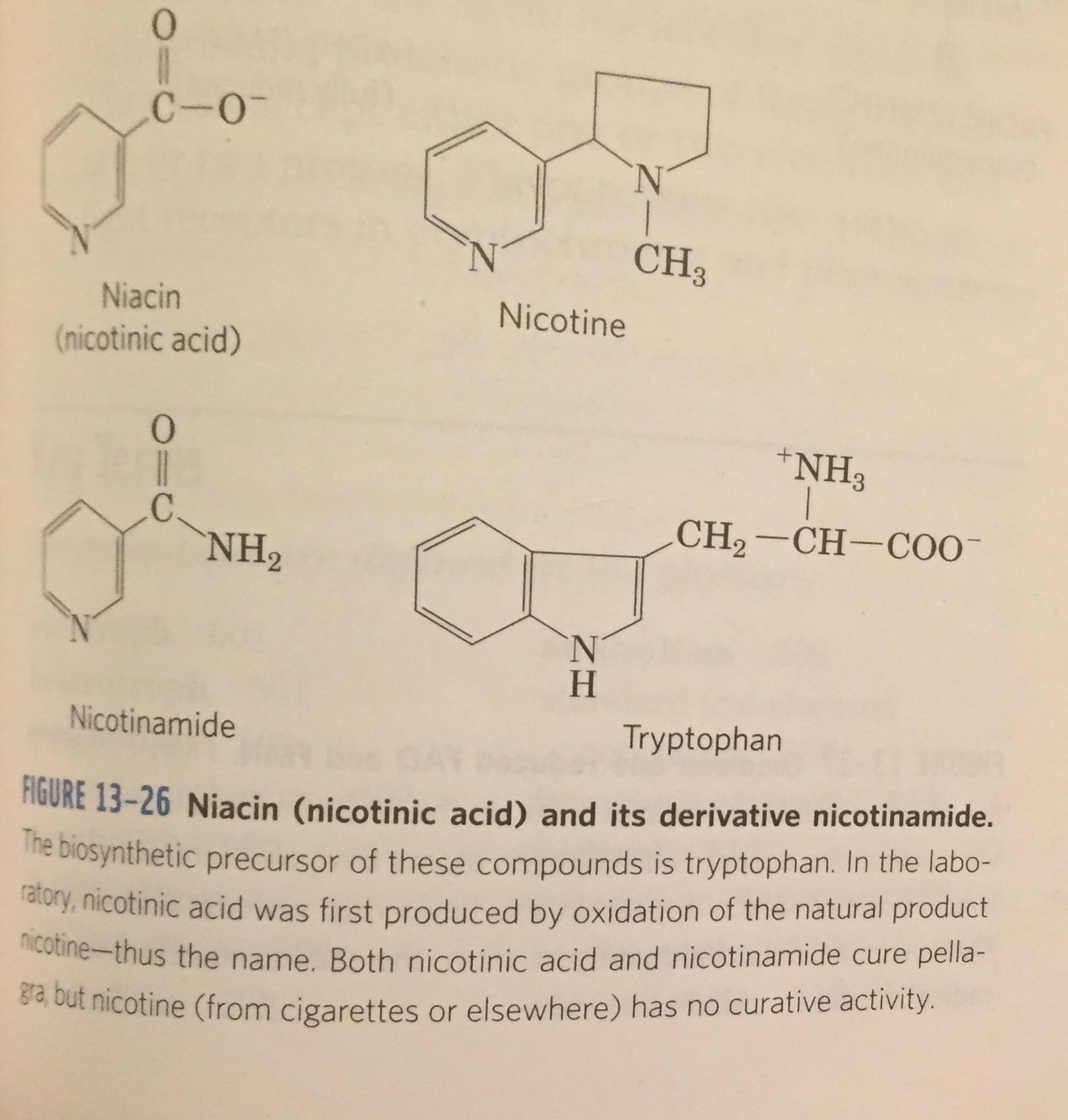 Niacin (nicotinic acid) and its derivative