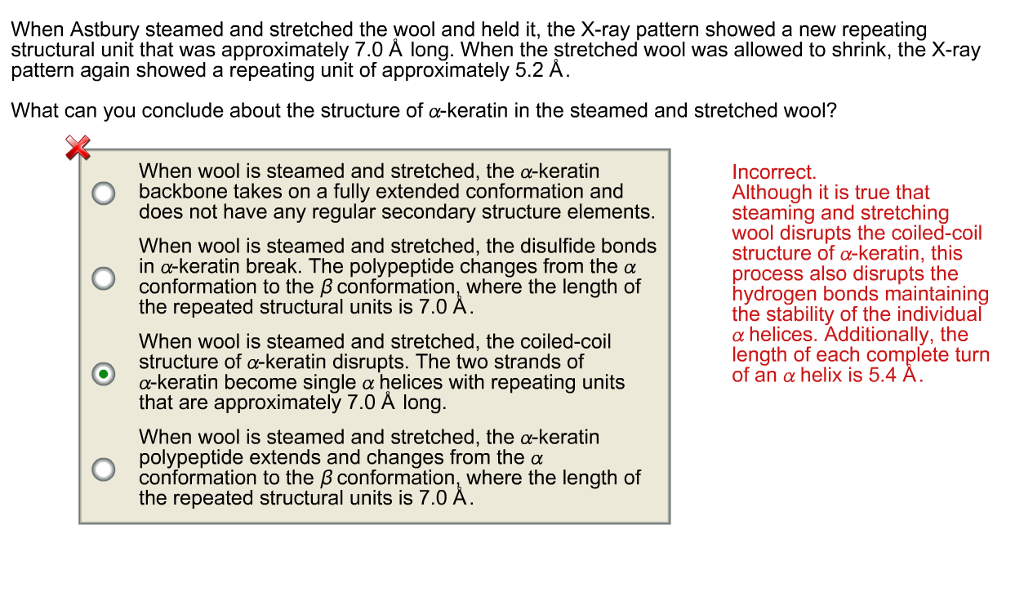 Question: When Astbury steamed and stretched the wool and held it, the X-ray pattern showed a new repeating...
