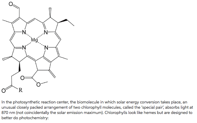 Question: This photon absorption causes an electron to be transferred fromthe special pair to another, sin...