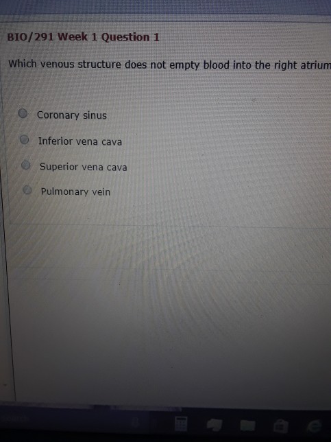 Right atrium essay image