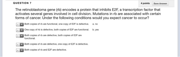 Question: The retinoblastoma gene (rb) encodes a protein that inhibits E2F, a transcription factor that act...