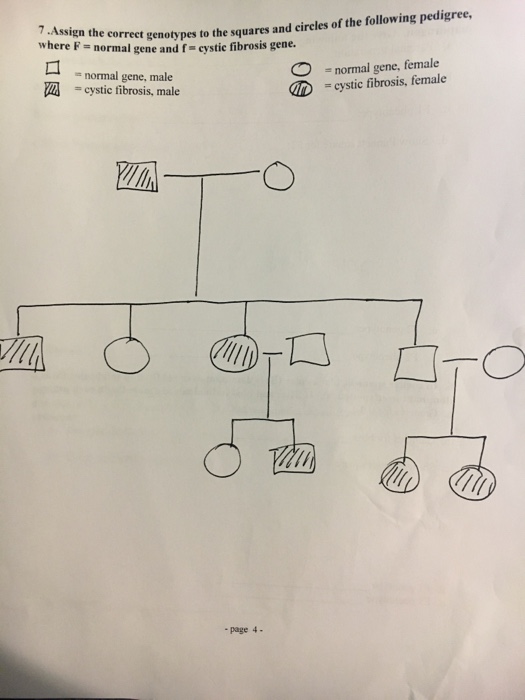 Question: Assign the correct genotypes to the squares and circles of the following pedigree, where F = norm...