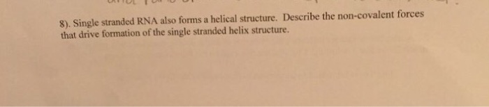 Question: Single stranded RNA also forms a helical structure. Describe the non-covalent forces that drive f...