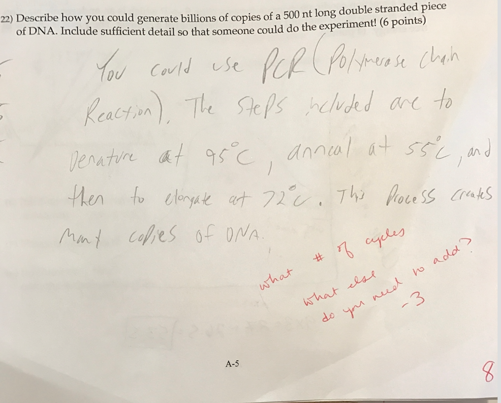 Question: Describe how you could generate billions of copies of a 500 nt long double stranded piece of DNA....