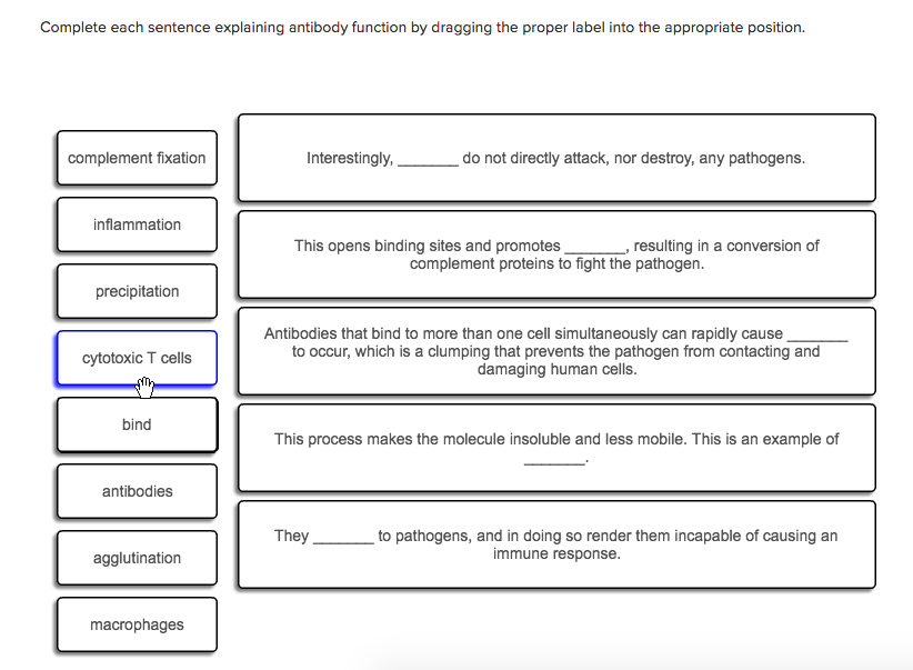 Solved Complete Each Sentence Explaining Antibody Functio...