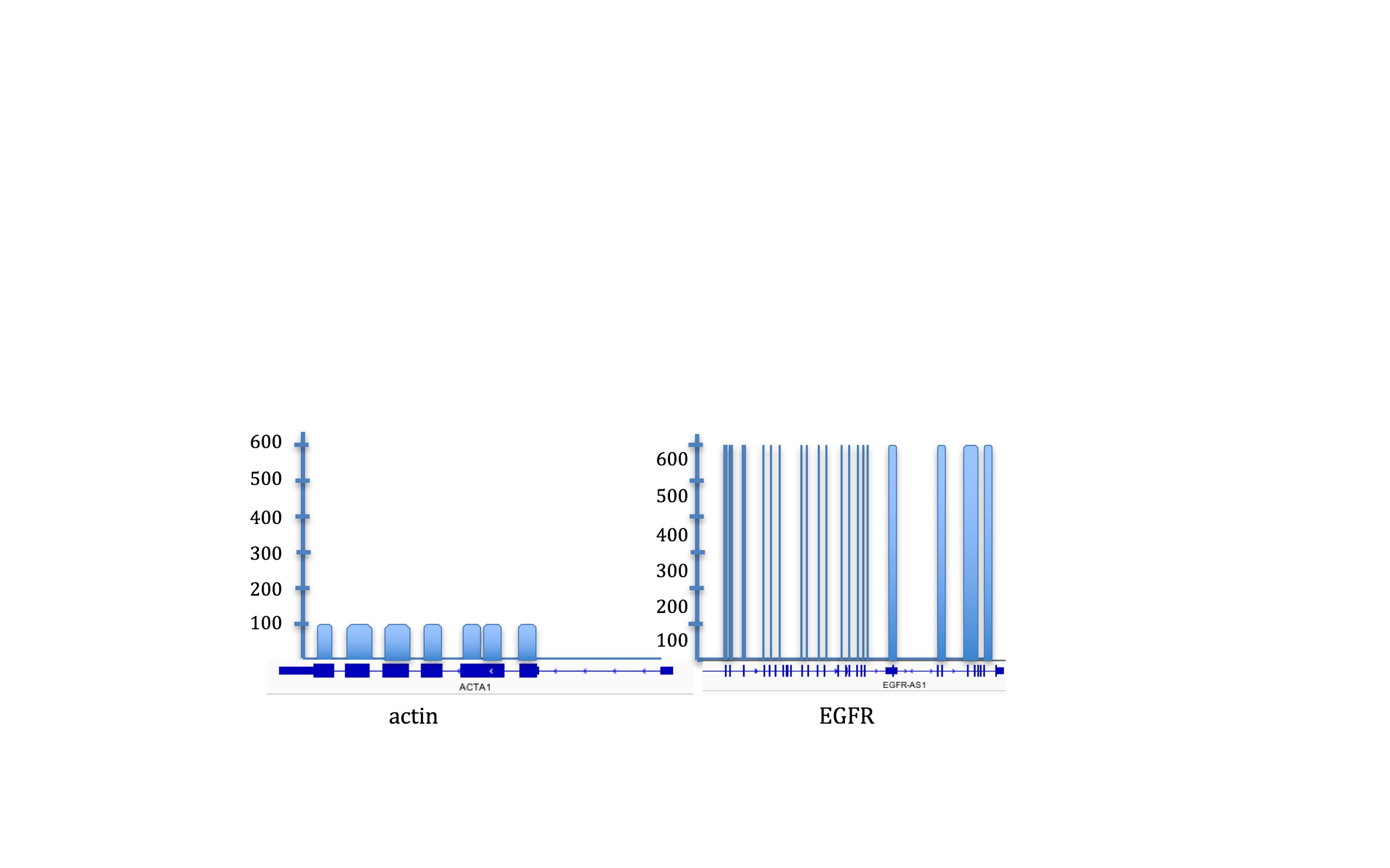 Question: This is the gene expression analysis of actin and EGFR in breastcancerWhat do the images repres...