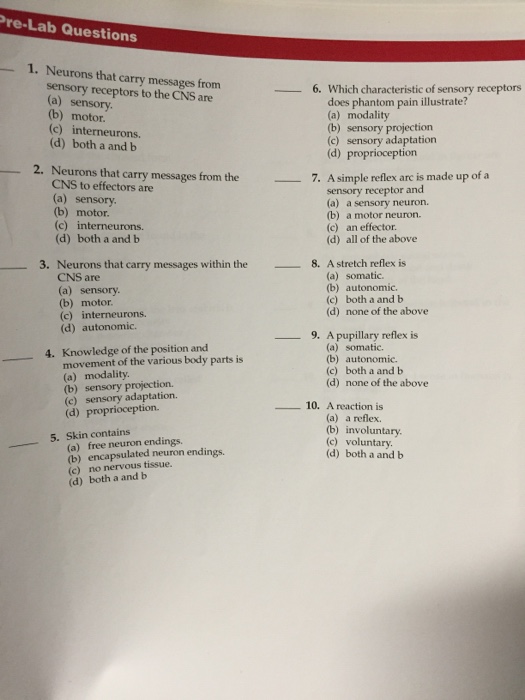 Question: Neorons that carry messages from sensory receptors to the CNS are  sensory.  motor.  intemeurons....