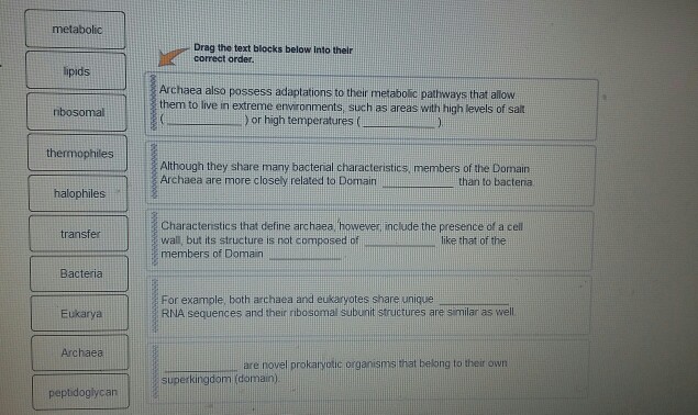 Question: Metabolic  lipids  ribosomal  thermophiles  halophiles  transfer  Bacteria  Eukarya  Archaea  pep...