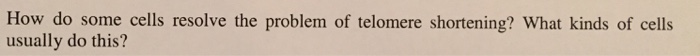 Question: How do some cells resolve the problem of telomere shortening? What kinds of cells usually do this?