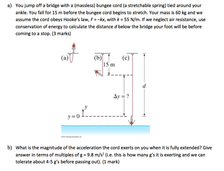 Solved A) You Jump Off A Bridge With A (massless) Bungee
